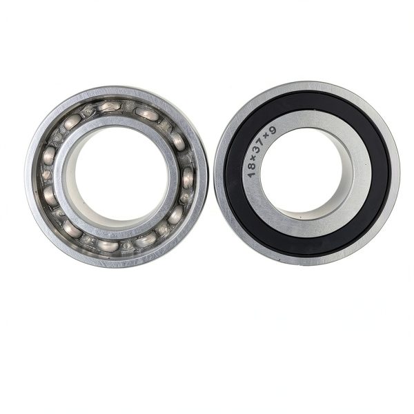 BIGLKNM Cam Bearing Steel for Sportrax Engines-3