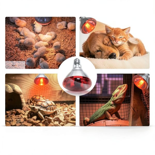 Infrared Heat Lamp Bulb for Chickens Red Heat Lamp Flood Light Heat Lamp Bulb 150 W Heating Bulbs for Brooder Coops Pets Chicks Reptiles Food Service (1 Pack)-5