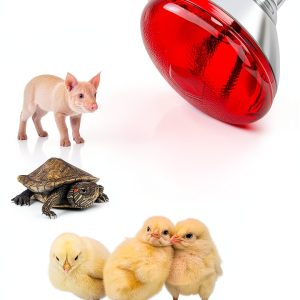 Infrared Heat Lamp Bulb for Chickens Red Heat Lamp Flood Light Heat Lamp Bulb 150 W Heating Bulbs for Brooder Coops Pets Chicks Reptiles Food Service (1 Pack)-0