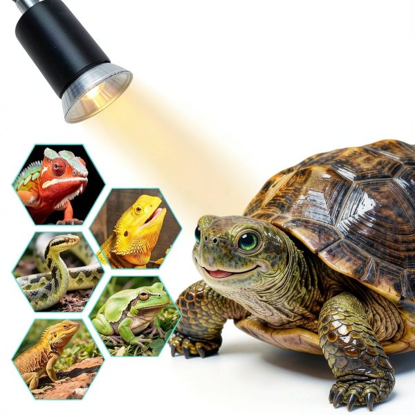 Reptile Heat Lamp Turtle Light wondrokey Ceramic Socket Timer Dimmer-5